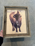 Icy Bison- FRAMED 11x14 Wood Print