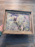 Overlooking Eagle- FRAMED 11x14 wood print