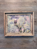 Overlooking Eagle- FRAMED 11x14 wood print