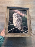 Great Gray Owl- FRAMED 11x14 wood print