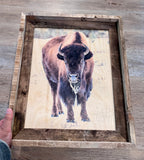 Icy Bison- FRAMED 11x14 Wood Print