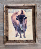 Icy Bison- FRAMED 11x14 Wood Print