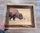 Bison Love- FRAMED 8x10 wood print