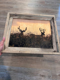 Two Bucks- FRAMED 11x14 Wood Print