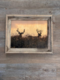 Two Bucks- FRAMED 11x14 Wood Print