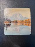 Coaster- Oxbow Bend
