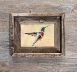 Suspended Anna's Hummingbird- FRAMED- 5x7 Wood Print