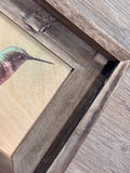 Suspended Anna's Hummingbird- FRAMED- 5x7 Wood Print
