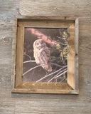 Great Gray Owl- FRAMED 8x10 wood print