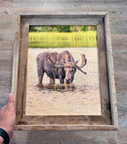 Thirsty Moose- FRAMED 11x14 Wood Print