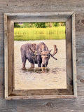 Thirsty Moose- FRAMED 11x14 Wood Print