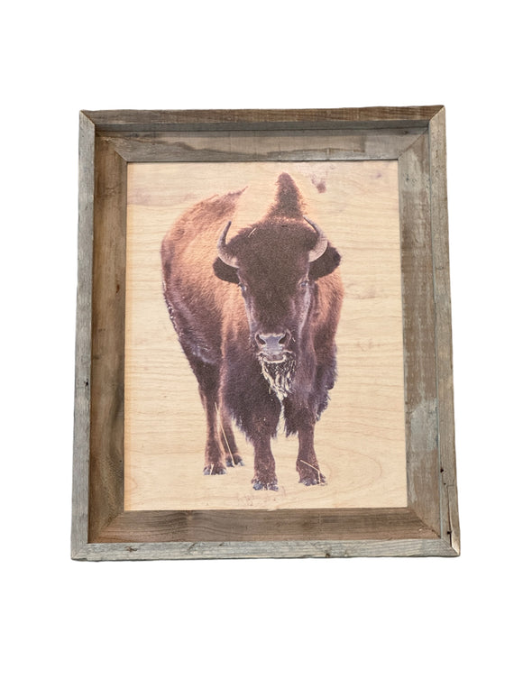 Icy Bison- FRAMED 11x14 Wood Print