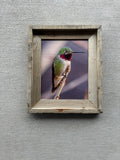 Anna's Hummingbird- FRAMED 8x10 wood print