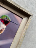 Anna's Hummingbird- FRAMED 8x10 wood print