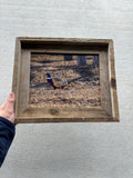 Pheasant- FRAMED 8x10 wood print