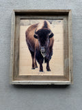 Icy Bison- FRAMED 11x14 Wood Print