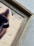 Icy Bison- FRAMED 11x14 Wood Print