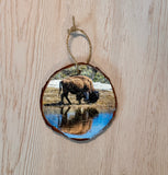 Ornament- Bison Reflection