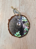 Ornament- Napping Black Bear