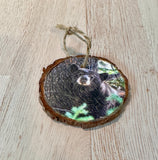 Ornament- Napping Black Bear