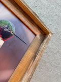 Anna's Hummingbird- FRAMED 8x10 wood print