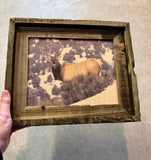Downhill Elk- FRAMED 8x10 wood print