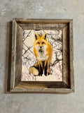 Snowy Fox- FRAMED 8x10 wood print