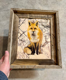 Snowy Fox- FRAMED 8x10 wood print