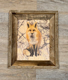 Snowy Fox- FRAMED 8x10 wood print