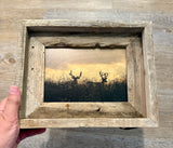 Two Bucks- FRAMED 5x7 Wood Print