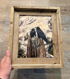 Ravens- FRAMED 8x10 wood print