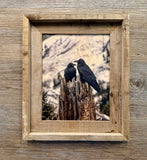 Ravens- FRAMED 8x10 wood print