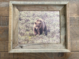 Grizzly 610- FRAMED 8x10 wood print