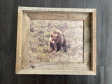 Grizzly 610- FRAMED 8x10 wood print