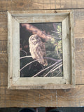 Great Gray Owl- FRAMED 8x10 wood print