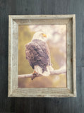Sunset Eagle- FRAMED 11x14 Wood Print