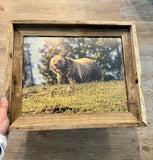 Grizzly on a Hill- FRAMED 11x14 Wood Print