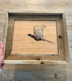 Flying Pheasant- FRAMED 8x10 wood print