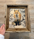 Snowy Fox- FRAMED 8x10 wood print