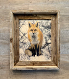 Snowy Fox- FRAMED 8x10 wood print