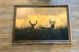 FRAMED 24x36 Wood Print - Two Bucks