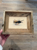 Fly- FRAMED 5x7 Wood Print