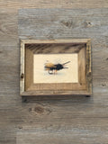 Fly- FRAMED 5x7 Wood Print