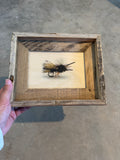 Fly- FRAMED 5x7 Wood Print