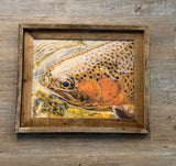 Trout Face- FRAMED 11x14 Wood Print