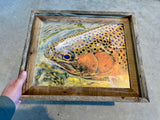 Trout Face- FRAMED 11x14 Wood Print