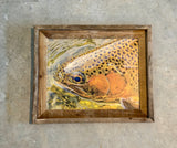 Trout Face- FRAMED 11x14 Wood Print