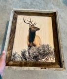 Elk Head Turn - FRAMED 11x14 Wood Print