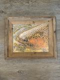 Trout Face- FRAMED 8x10 wood print