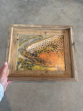 Trout Face- FRAMED 8x10 wood print